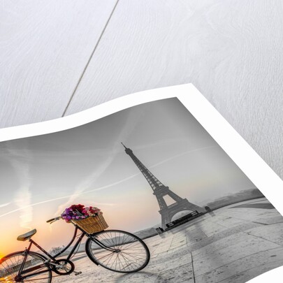Bicycle and Eiffel tower by Assaf Frank
